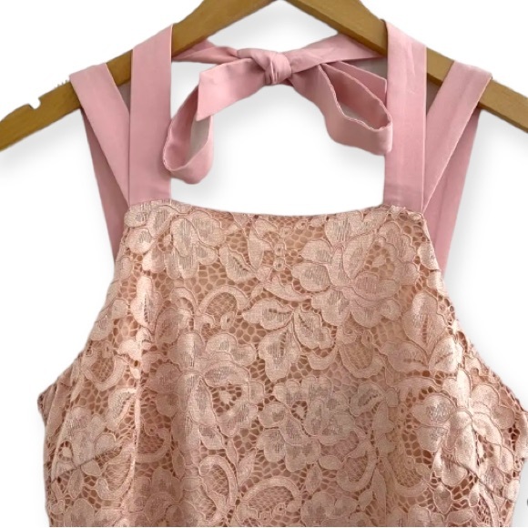 SAM EDELMAN PETAL PINK THICK STRAP LACE DRESS SIZE 10 - Picture 10 of 14